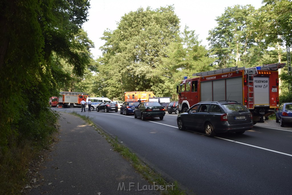 Waldbrand Koeln Hoehenhaus Hoehenfelder Mauspfad P003.JPG - Miklos Laubert